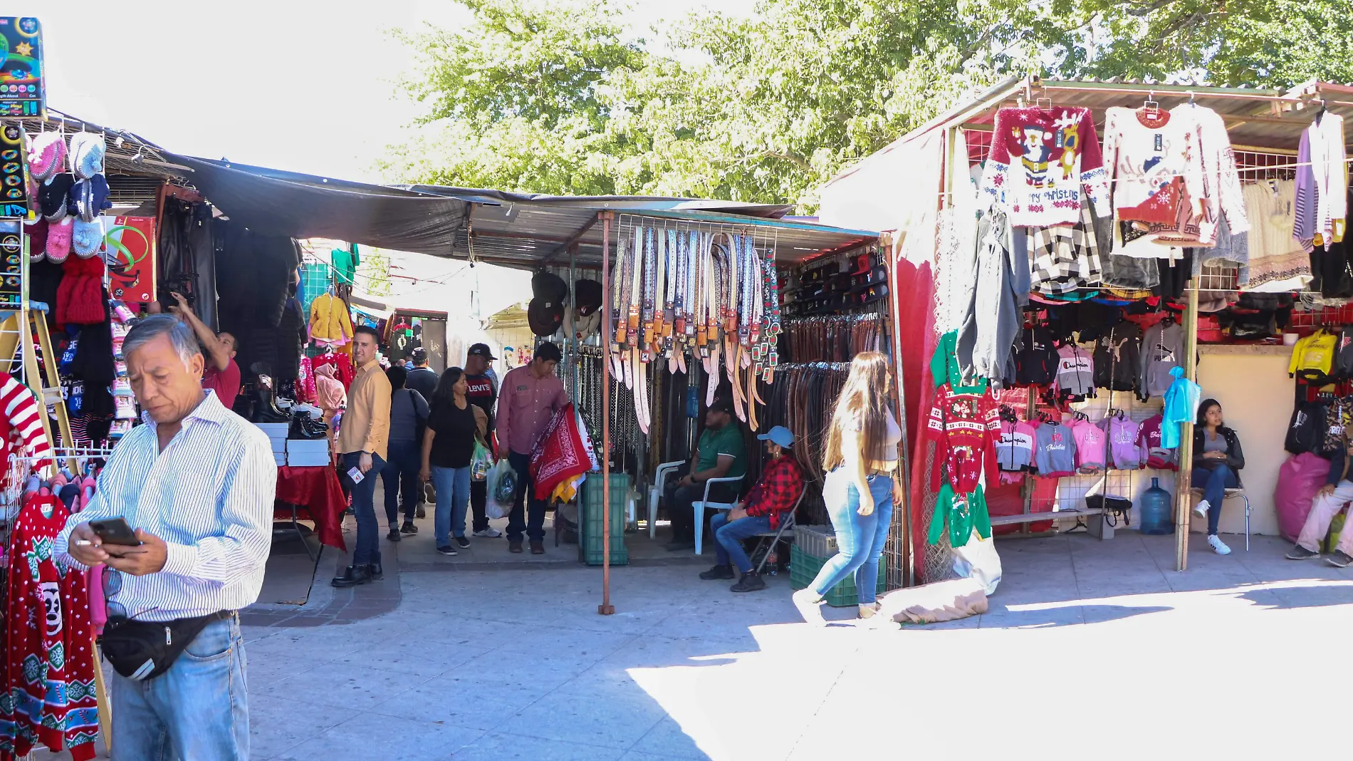 Bazar navideño jardin juarez - Mike Acosta